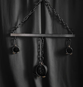 Ships from the USA! Neck Wrist Restraint Bar