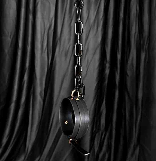 Ships from the USA! Neck Wrist Restraint Bar - Image 4